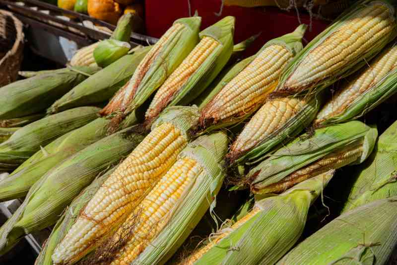 Mercado Municipal de Lauro de Freitas é opção para compras juninas com tradição e qualidade