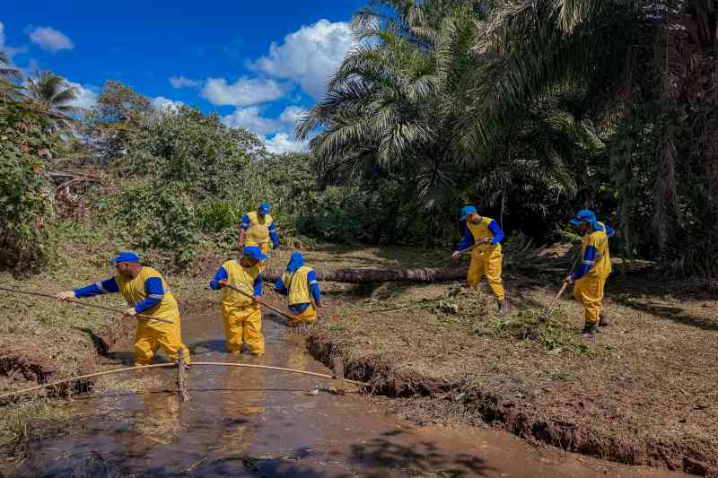 Prefeitura avança com obras de limpeza e manutenção de ruas e avenidas do município