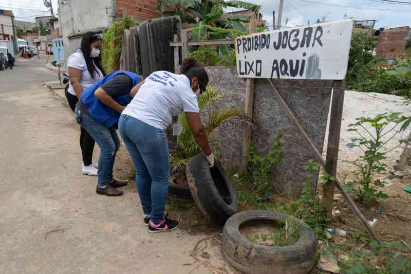 Prefeitura de Lauro de Freitas disponibiliza o canal de denúncias 'Disque Dengue'