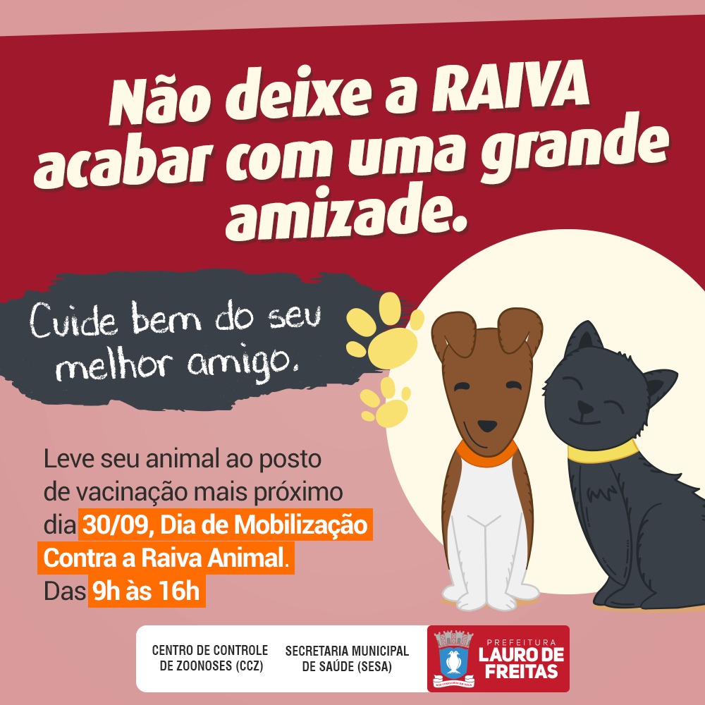 Campanha de vacinao antirrbica imuniza ces e gatos em Lauro de Freitas