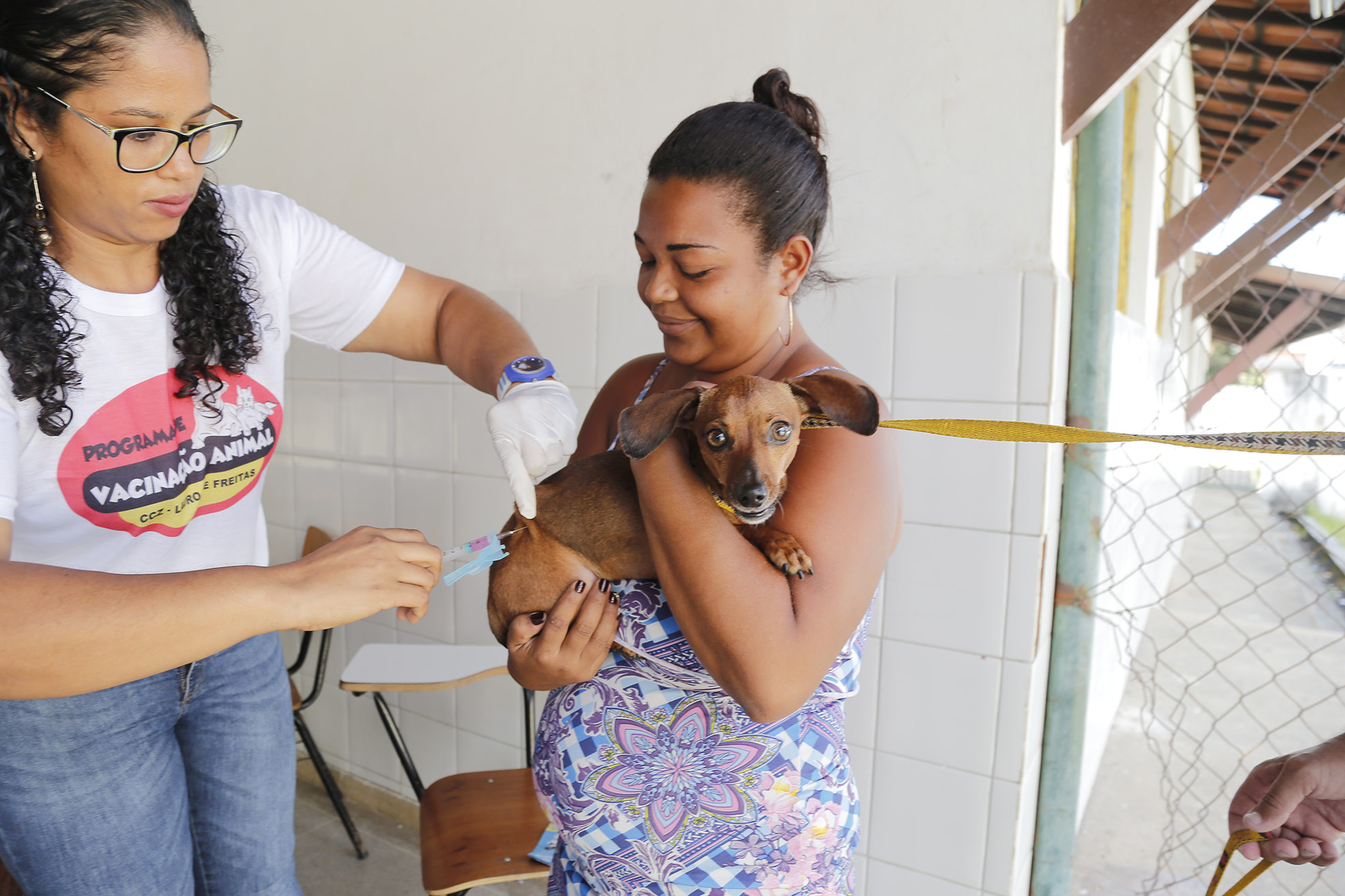 Lauro de Freitas imunizou contra a raiva mais de 21 mil animais em 2018