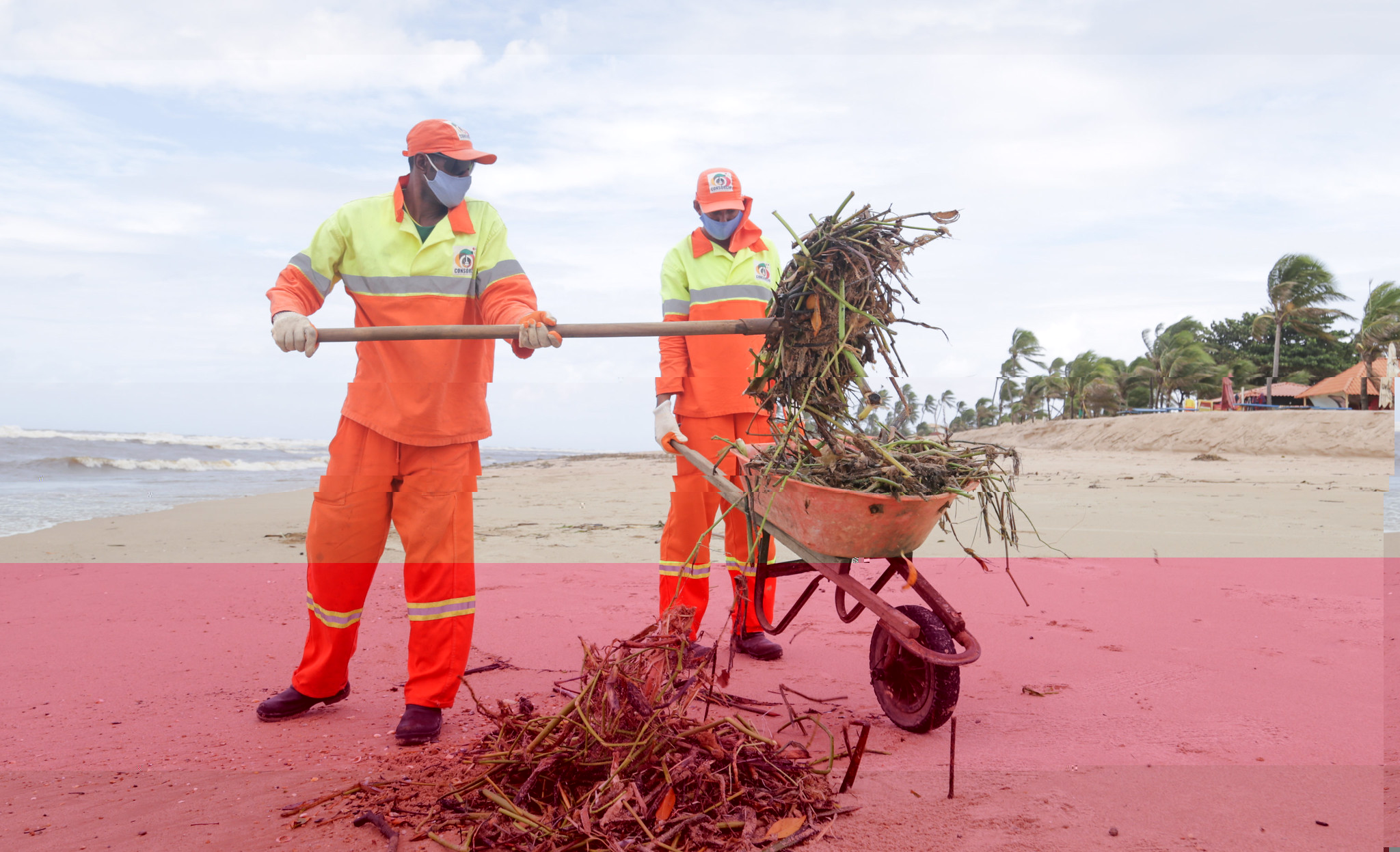 Prefeitura intensifica retirada de baronesas das praias de Ipitanga, Buraquinho e Vilas do Atlntico