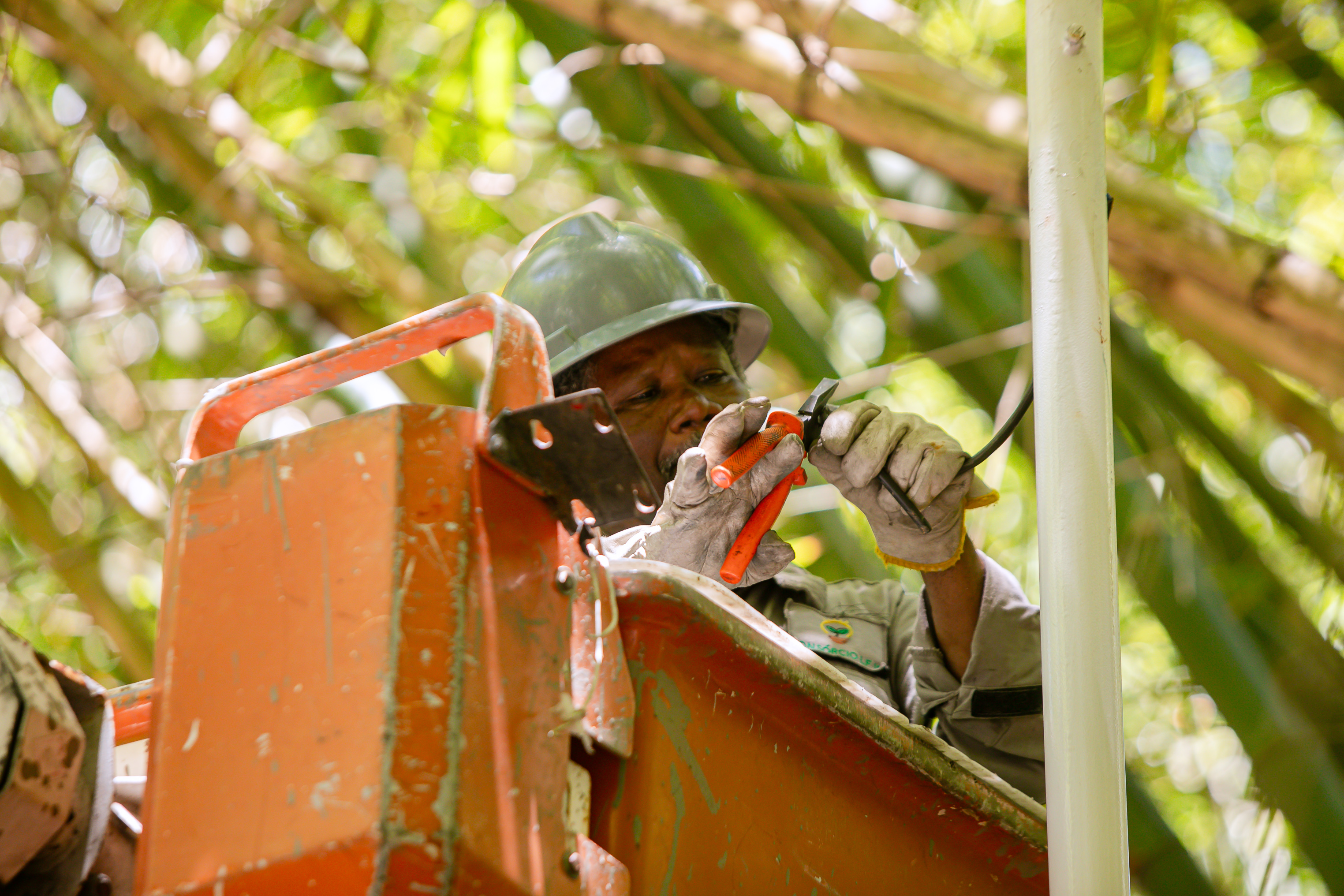 Foto: Reprodu&ccedil;&atilde;o/Lauro de Freitas - BA