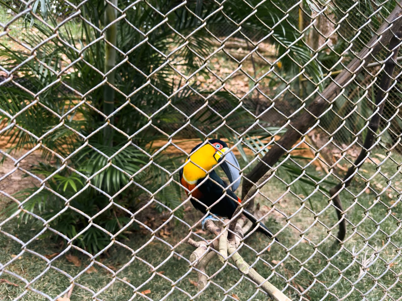 Foto: Reprodução/Lauro de Freitas - BA