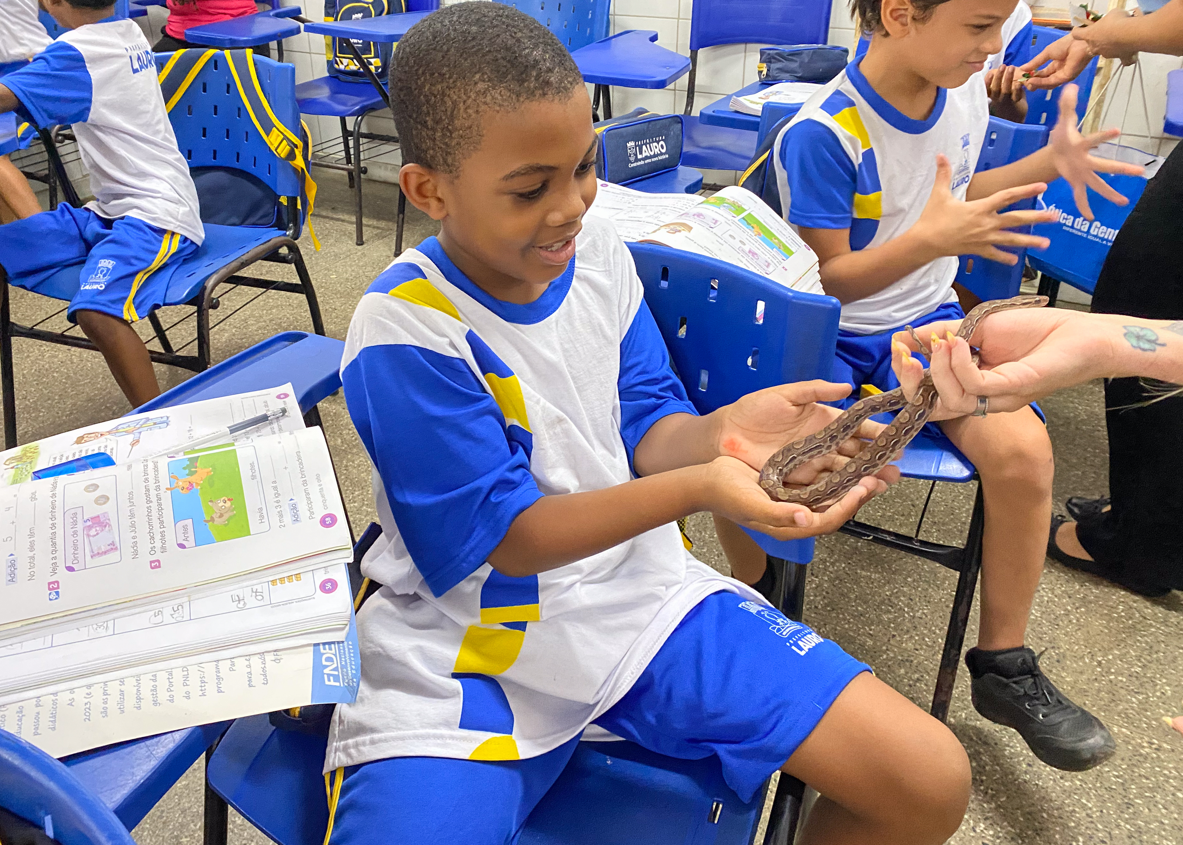 Foto: Reprodução/Lauro de Freitas - BA