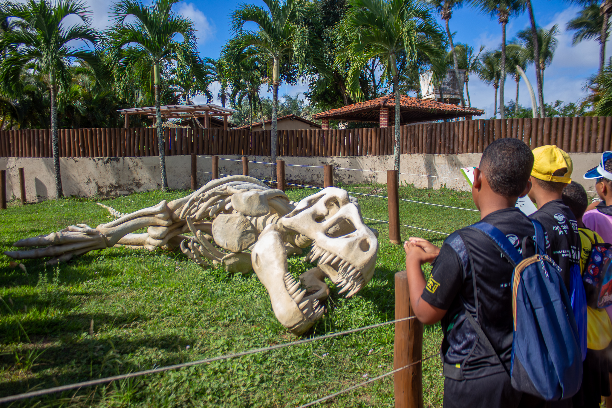 Foto: Reprodução/Lauro de Freitas - BA