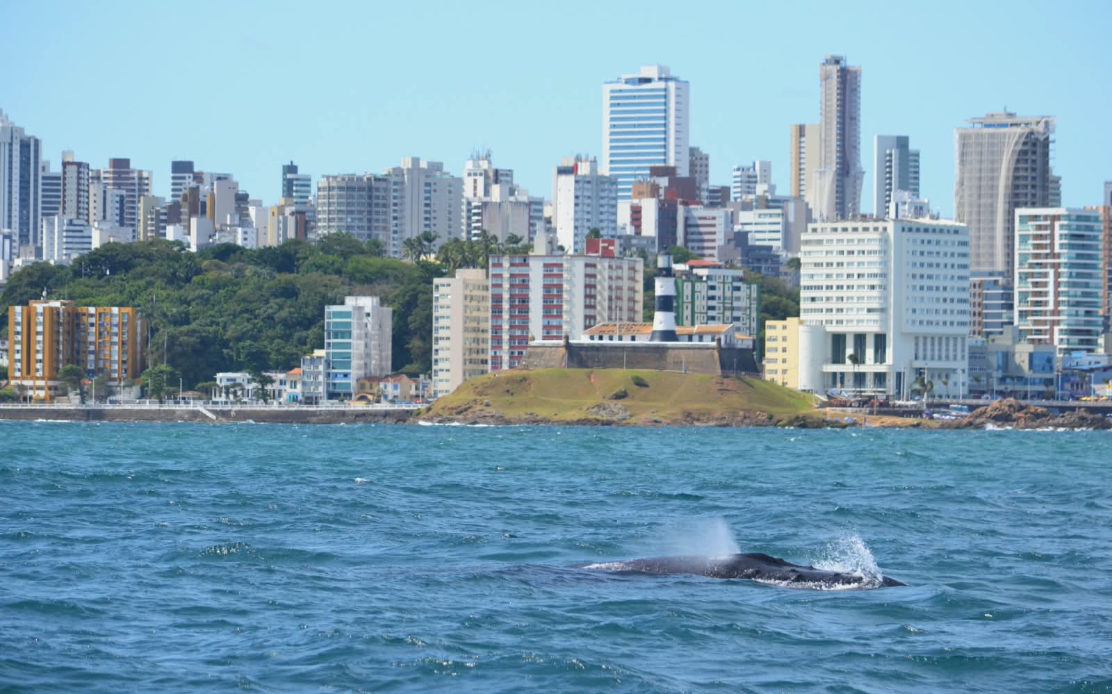 Foto: Reprodução/Lauro de Freitas - BA
