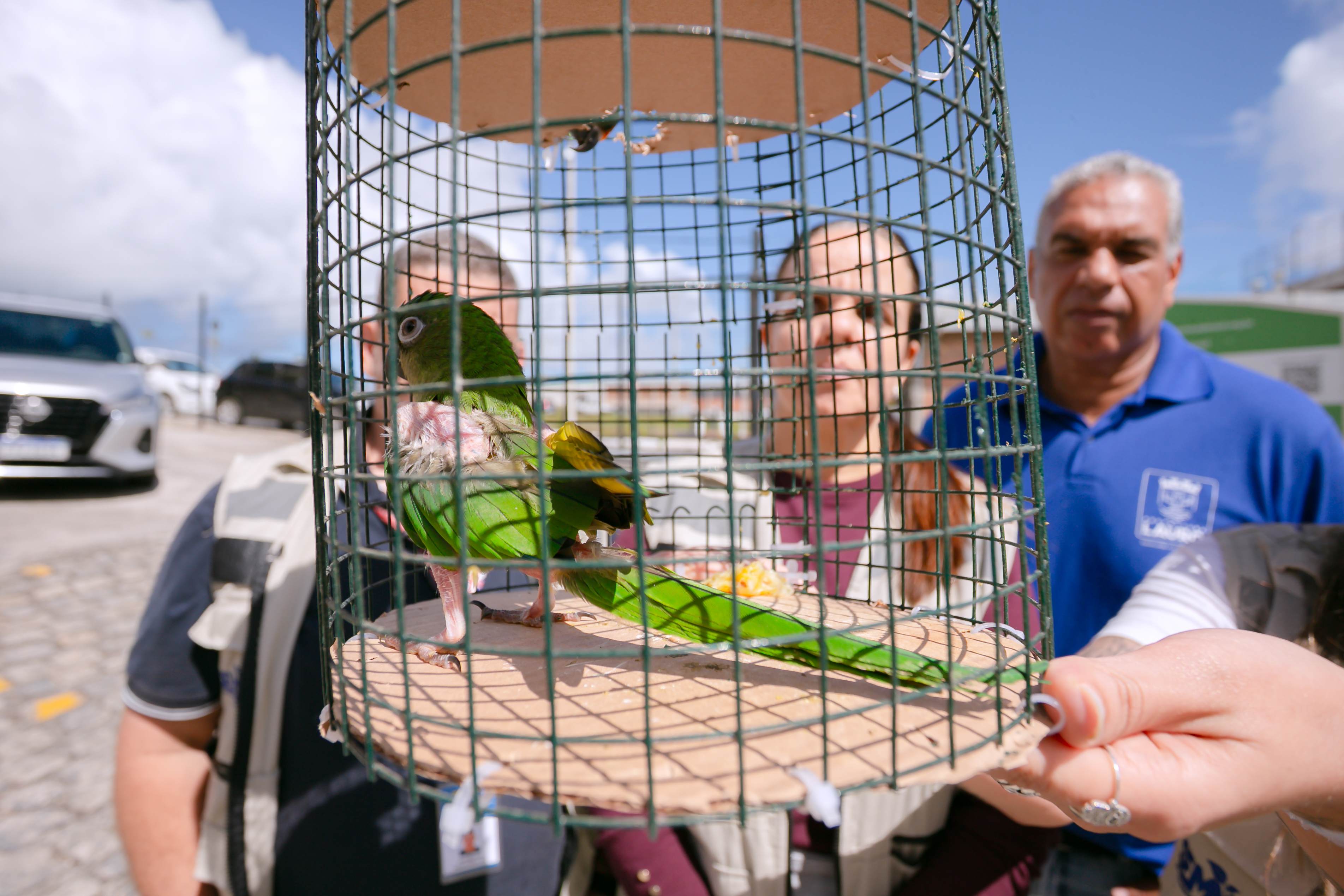 Foto: Reprodução/Lauro de Freitas - BA