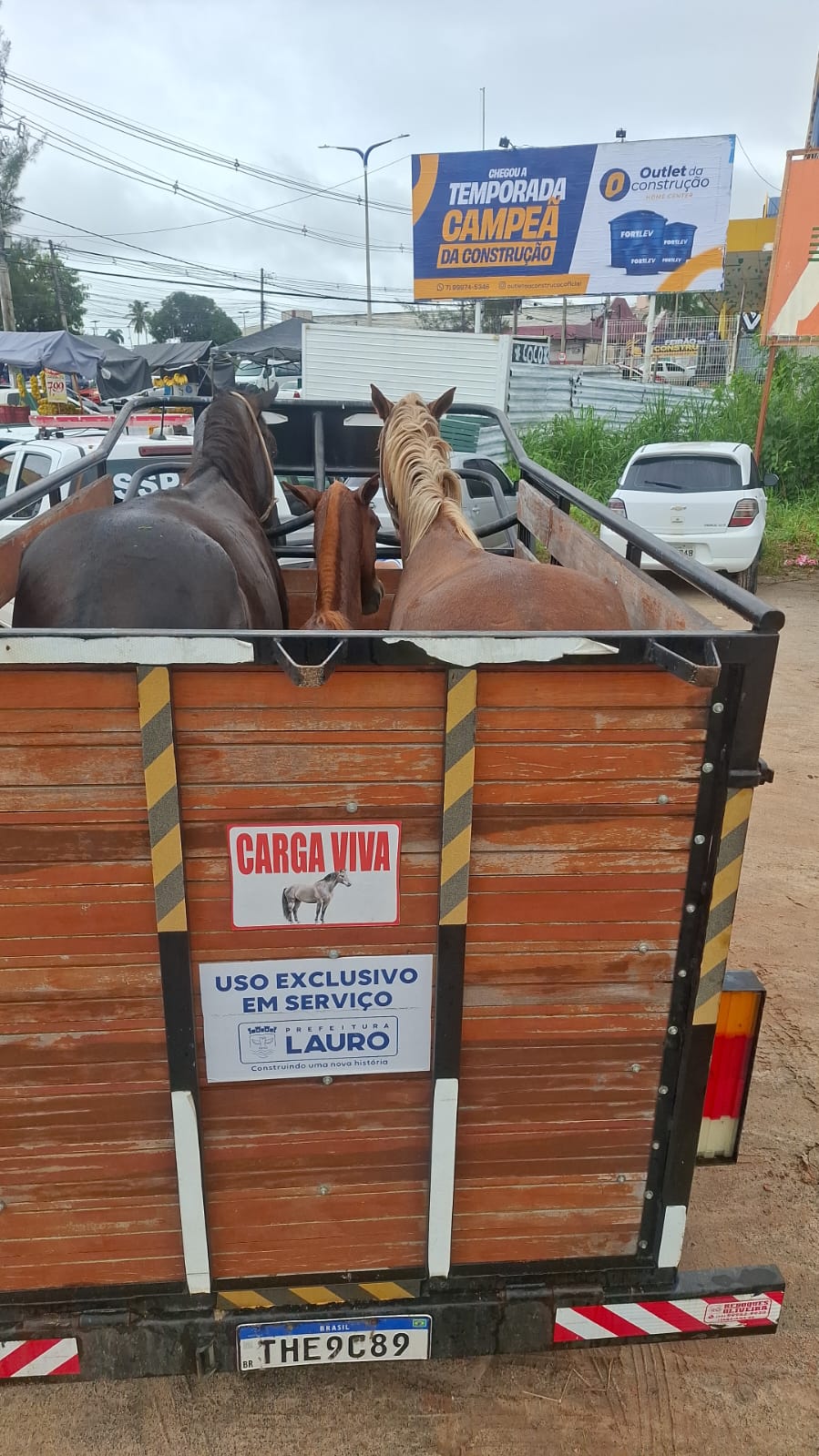 Foto: Reprodução/Lauro de Freitas - BA