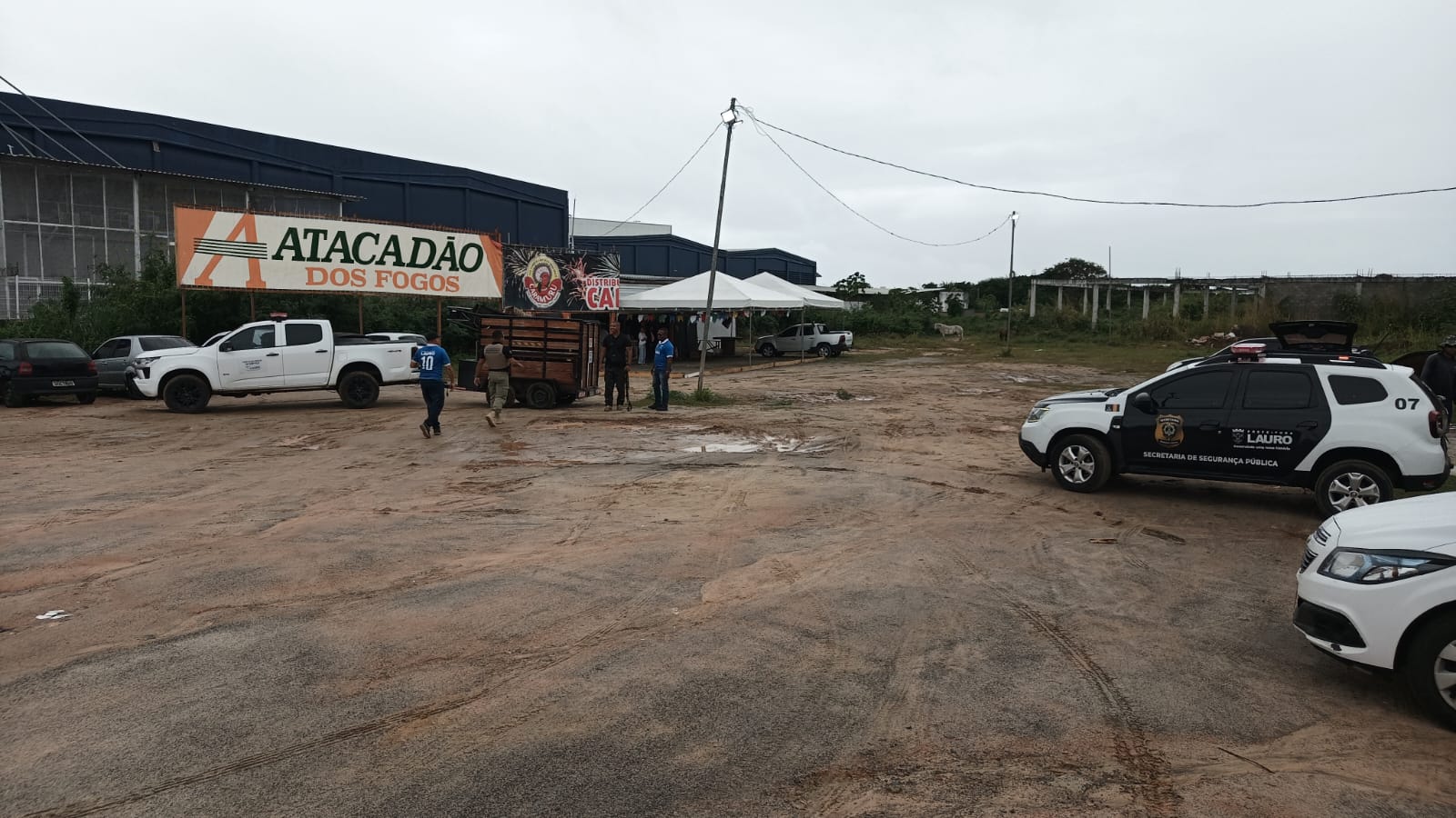 Prefeitura de Lauro de Freitas apreende cinco animais soltos na Avenida Santos Dumont durante operação