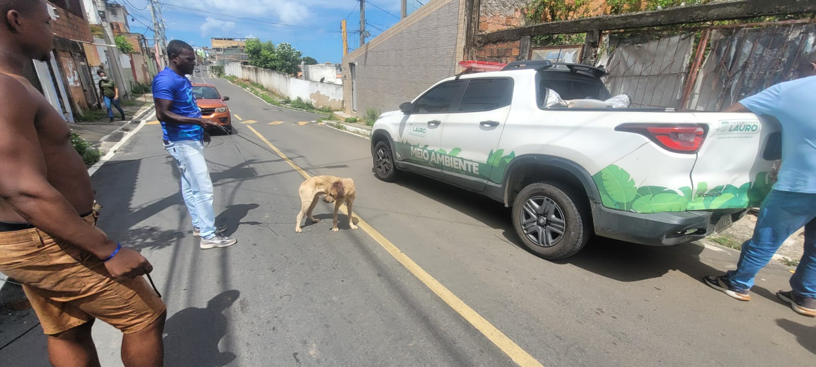 7/8/2026 - Prefeitura amplia atuação na proteção e defesa dos direitos dos animais