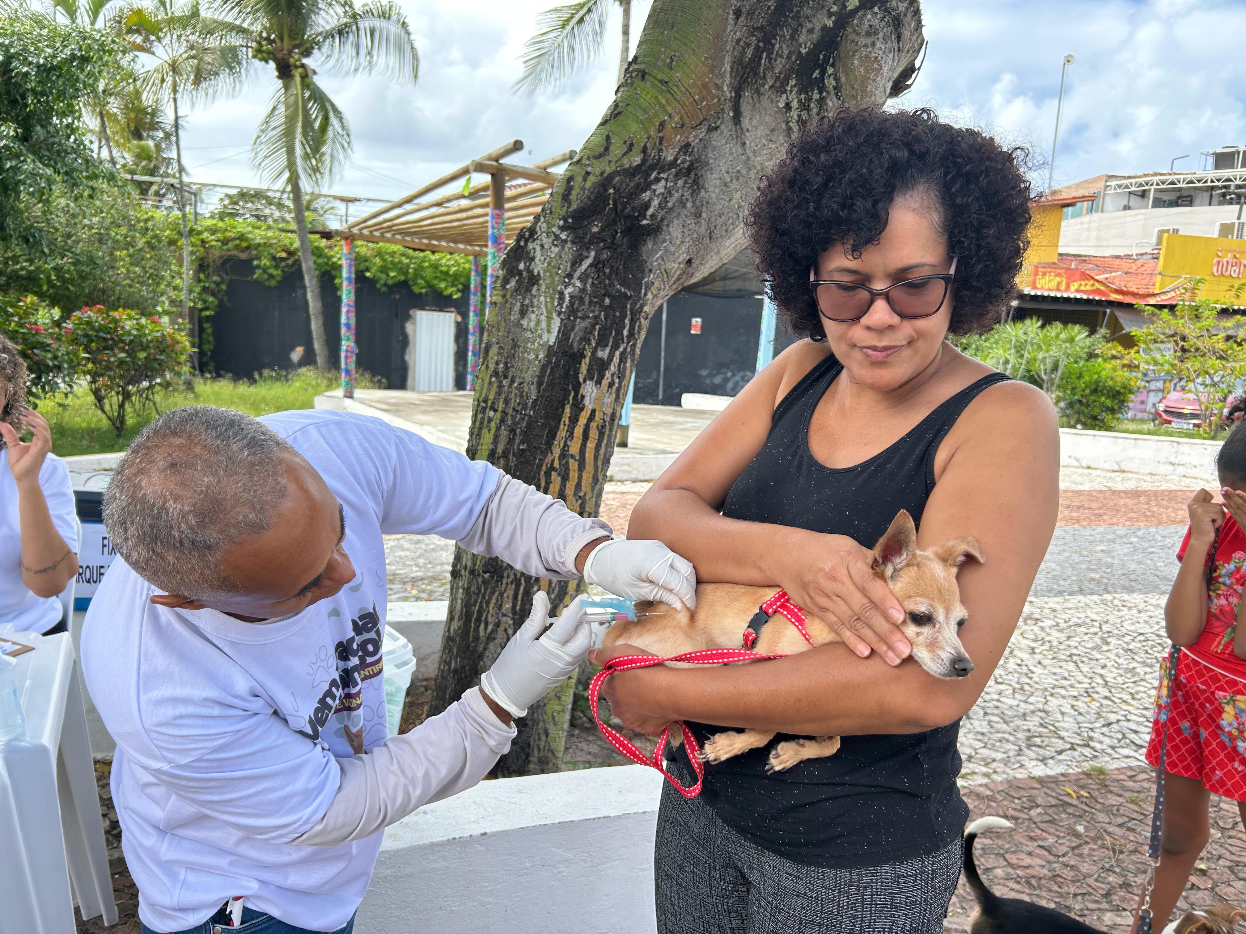 23/7/2026 - Prefeitura de Lauro de Freitas inicia Campanha de Vacinação Antirrábica Animal neste sábado (25)